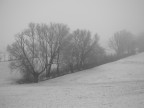 Diago-Winter 2008 Diago-Winter 2008