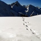 Steps Steps