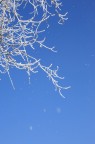 Ultima neve Ultima neve