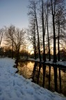 Sole d'inverno Sole d'inverno