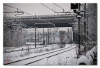 La curva del pendolino... La curva del pendolino...