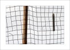 net net