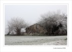 L'ultimo baluardo.... L'ultimo baluardo....