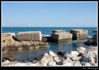IMG_1007.jpg
