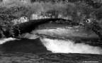 Ponte Ponte