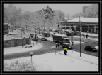 La Neve e l'Ombrello Giallo #2 La Neve e l'Ombrello Giallo #2