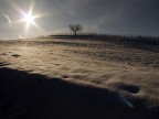 nevicata sull'oltrepò nevicata sull'oltrepò
