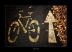 yellow yellow