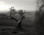 paesaggio paesaggio