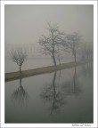 nebbia sul ticino nebbia sul ticino