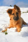 Guido e la neve.... Guido e la neve....