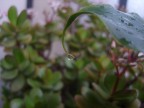 Un giorno di Pioggia Un giorno di Pioggia