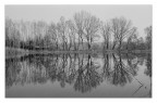 grigio su grigio grigio su grigio