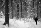 Un sentiero a Kranjska Gora (Slovenia) Un sentiero a Kranjska Gora (Slovenia)