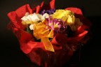 Fiori Fiori