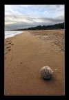 Ultimo approdo... Ultimo approdo...