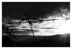 Sulle spine Sulle spine