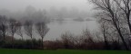 Nebbia sulla palude Nebbia sulla palude