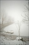 laghetto ghiacciato nella nebbia laghetto ghiacciato nella nebbia