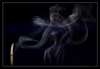 ProFumo di Donna ProFumo di Donna
