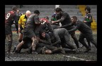 rugby rugby