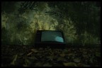 TV spazzatura TV spazzatura