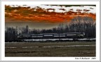 Ferrovie Nord Milano nel Parco delle Groane Ferrovie Nord Milano nel Parco delle Groane