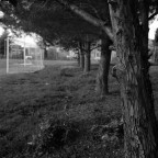 Rolleiflex Xenotar 80/2.8
Kodak Plus-X 125@125 in ID11 1+1 x 7'

Parliamone... se vi va...