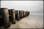 Il mare d'inverno Il mare d'inverno