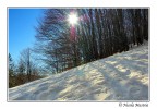 Il caldo abbraccio del sole Il caldo abbraccio del sole