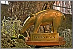 Tapiro!!! Tapiro!!!