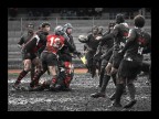 rugby 7