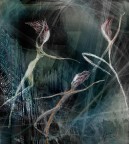 Utilizzati Photoshop e Painter