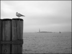 Relax a Battery Park Relax a Battery Park