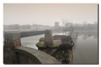 Ieri...nebbia!!! Ieri...nebbia!!!