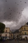 cetara cetara