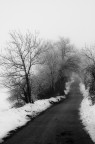strada strada