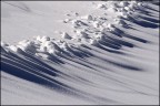 forme nella neve forme nella neve