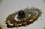 Spirale "ZEN" 2 Spirale "ZEN" 2