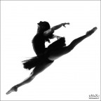 Volare... Volare...