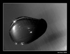 Steel Water Steel Water