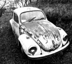 Mi permetto di postare questa mia foto scattata nel 2005 con una Minolta Dimage 7i da 5 megapixel...compatta/bridge che mi ha fatto divertire molto.

La storia di questo maggiolone non la conosce nessuno. Stava nella propriet� del nonno di un mio caro amico da quando loro acquistarono quel terreno...nessuno l'ha mai spostata...� rimasta li per decenni...a guardare il trascorrere del tempo. 

Qualcuno l'ha amata un tempo...e chiss� se qualcuno, come ho fatto io per un istante, la amer� ancora.