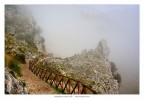 Verso la nebbia Verso la nebbia