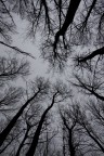 Tutti verso il cielo Tutti verso il cielo