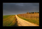 L'ultimo raggio di sole L'ultimo raggio di sole