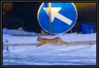 Qui č la strada Qui č la strada