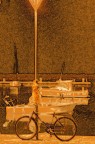 schizzo schizzo