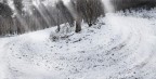 Mystic Winter Mystic Winter