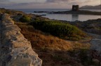 stintino, la pelosa stintino, la pelosa