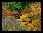 colori della natura colori della natura